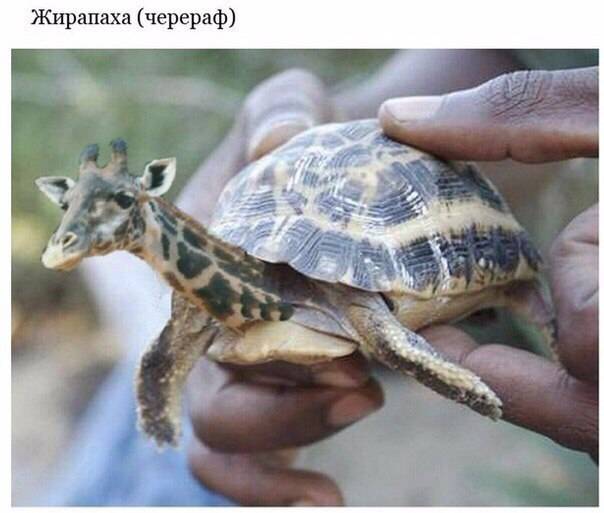 post-17499-0-88000200-1462722839_thumb.j