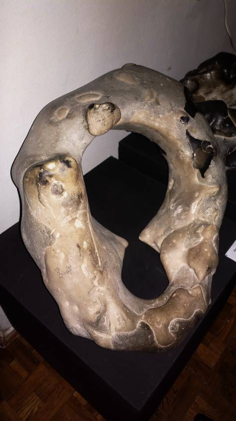 post-23448-0-30713300-1463859851_thumb.j