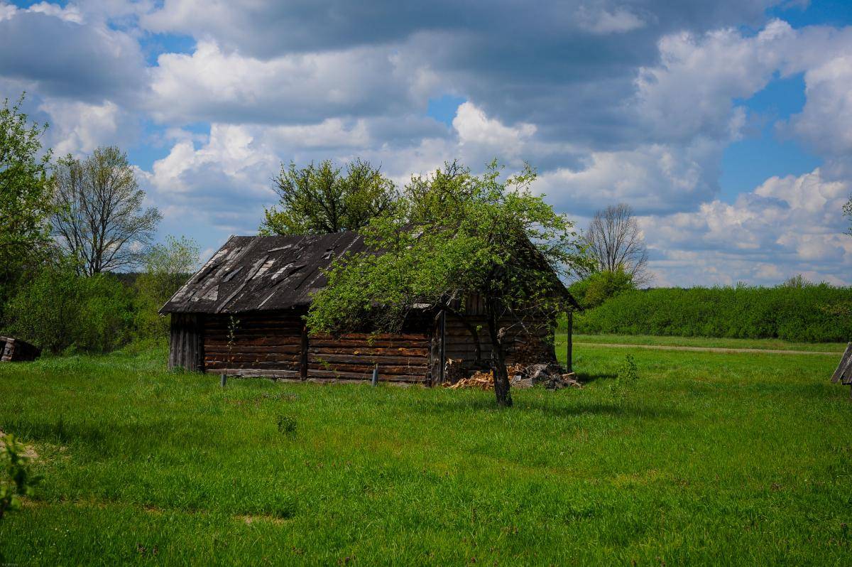 post-40724-0-91875500-1462897326_thumb.j