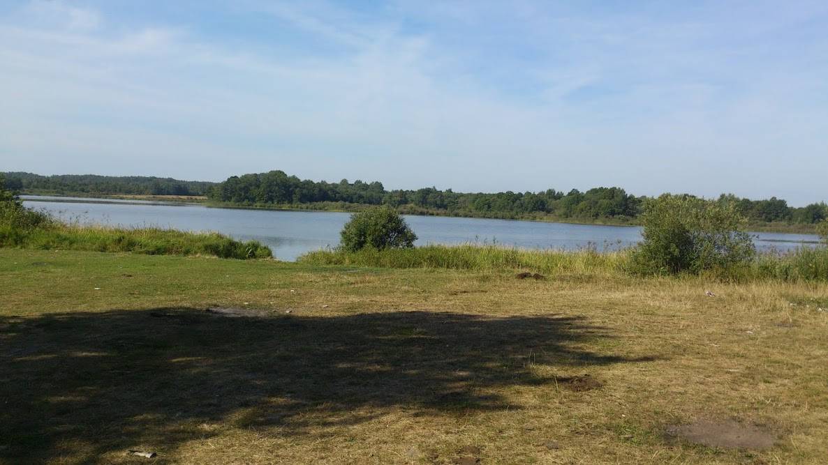 post-43367-0-29875100-1464611848_thumb.j