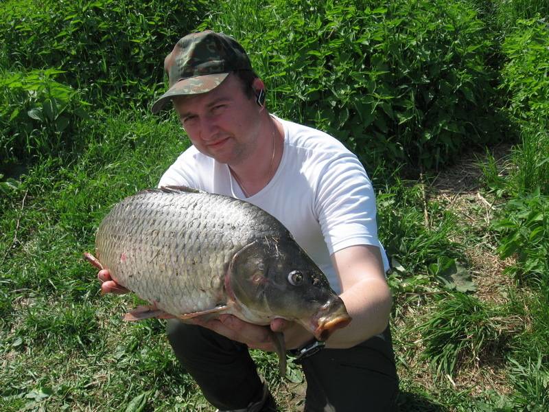 post-10163-0-42890100-1307388858_thumb.j