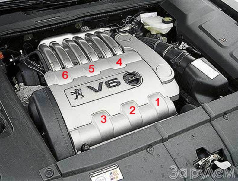 post-11383-0-67276100-1308576323_thumb.j