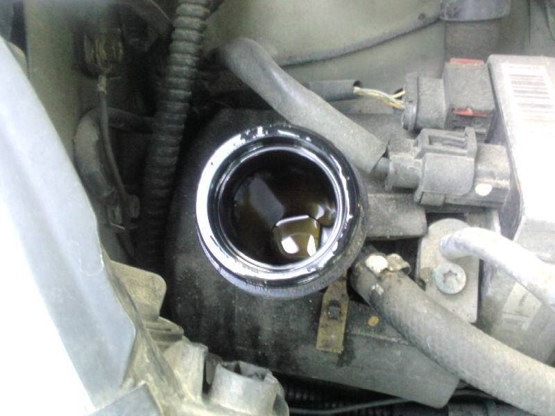 post-11726-0-76072300-1308769096_thumb.j