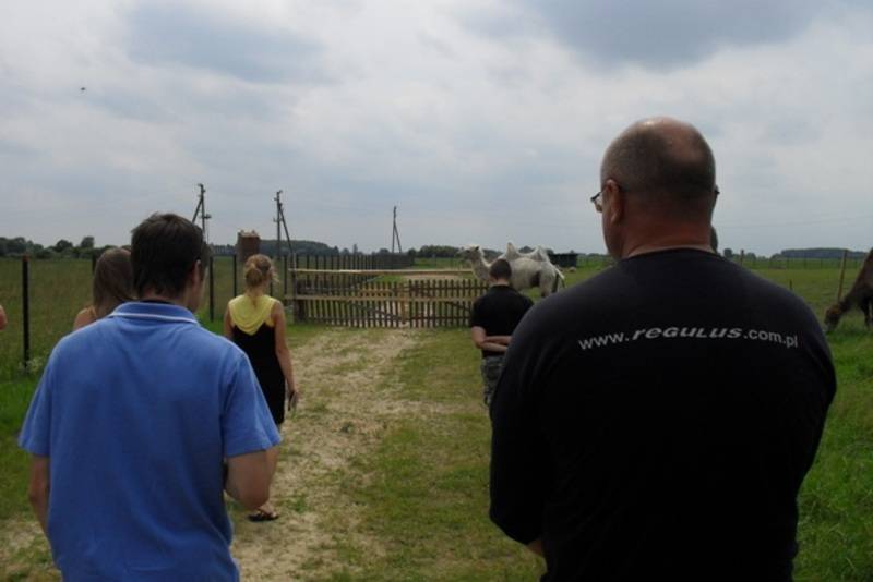 post-2550-0-54536700-1308434233_thumb.jp