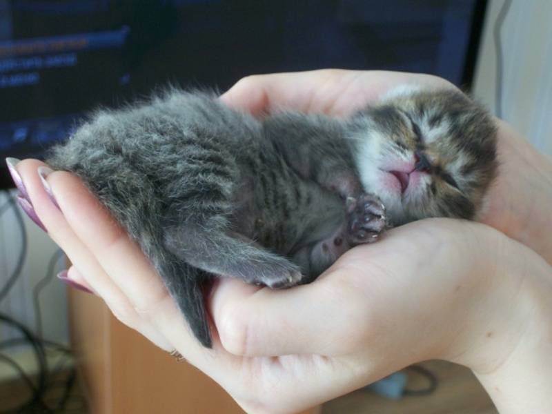 post-18454-0-28563800-1339761937_thumb.j