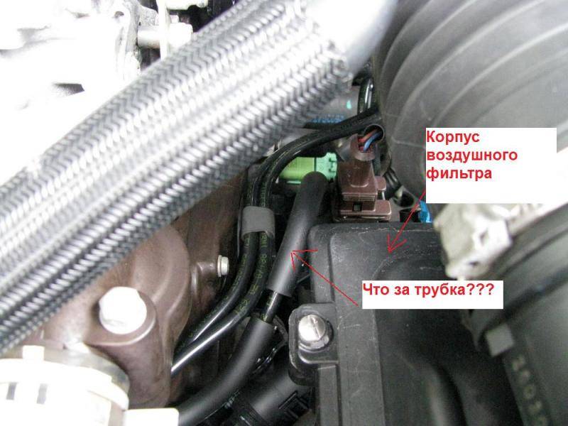 post-10462-0-41807700-1370791454_thumb.j