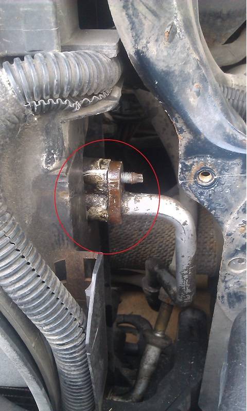 post-4165-0-92785300-1434609287_thumb.jp