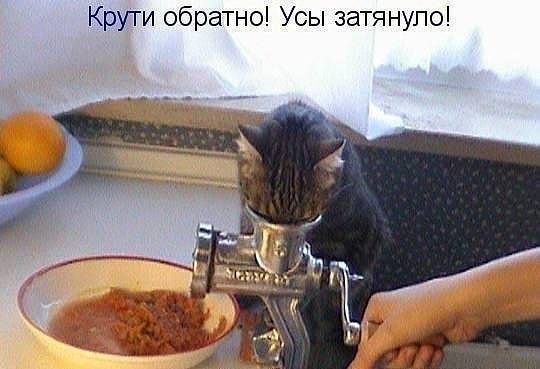 post-17499-0-02490700-1466073378_thumb.j