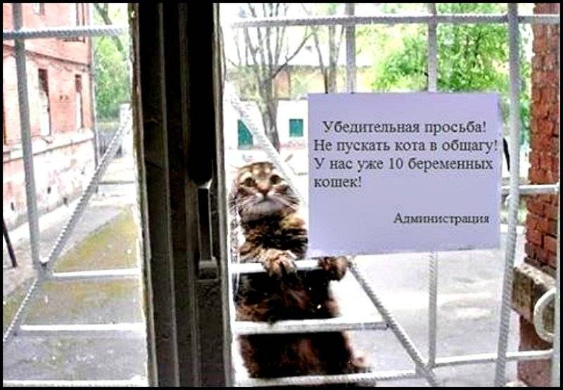 post-17499-0-20055700-1466329192_thumb.j