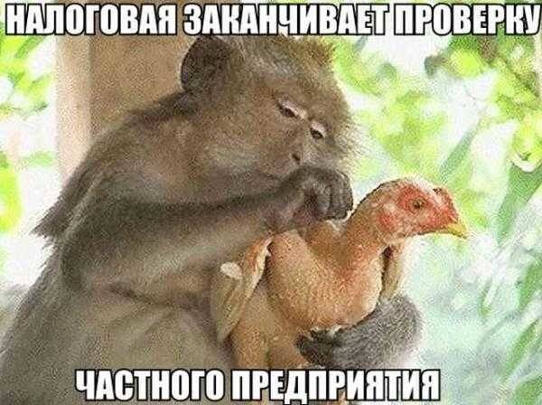 post-17499-0-87013900-1466073196_thumb.j