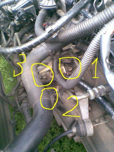 post-10238-0-52395500-1311017593_thumb.j