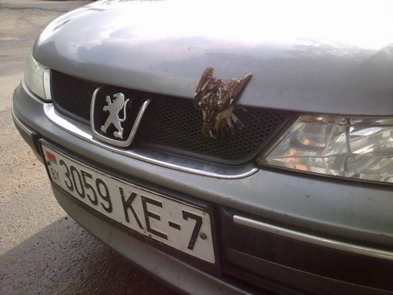 post-3115-0-37071800-1309783851_thumb.jp