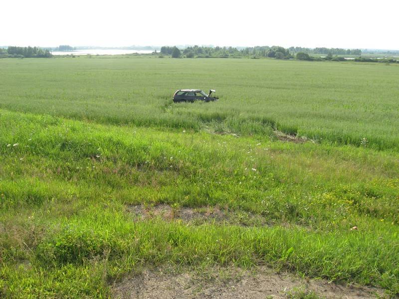 post-3489-0-80513200-1310403254_thumb.jp