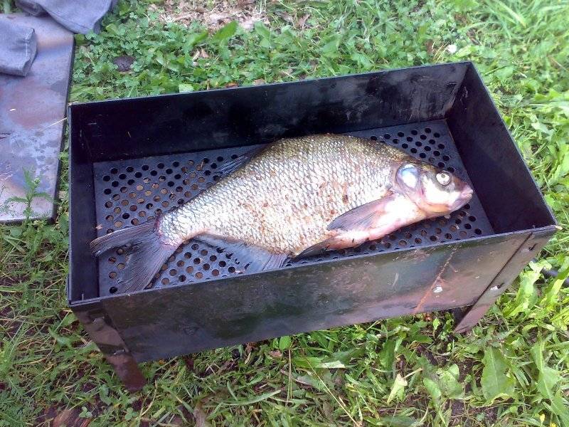 post-3742-0-09273000-1311074106_thumb.jp