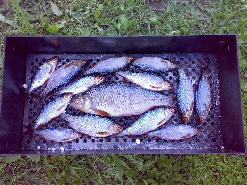 post-3742-0-37208200-1311074116_thumb.jp