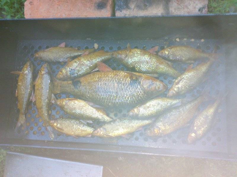 post-3742-0-64539000-1311074110_thumb.jp