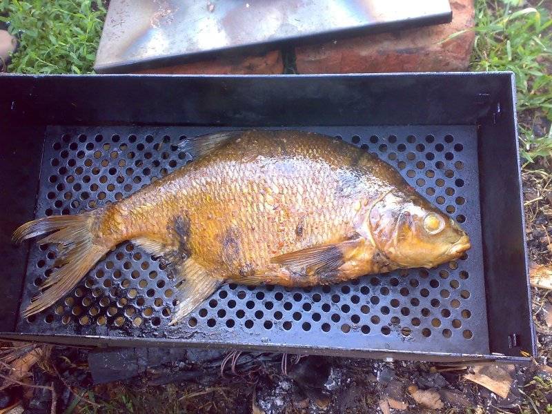 post-3742-0-66074600-1311074094_thumb.jp