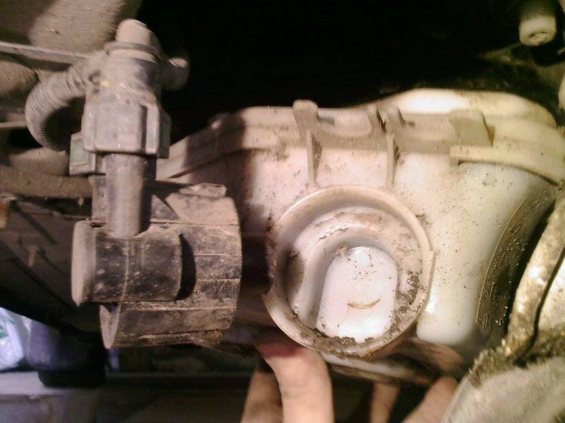 post-5432-0-68181300-1310064659_thumb.jp