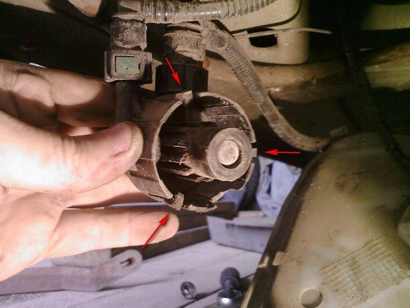 post-5432-0-79310300-1310064675_thumb.jp