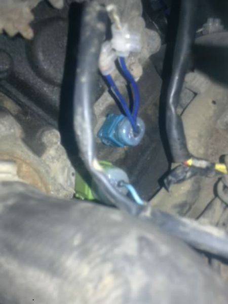 post-11574-0-23765800-1343329374_thumb.j