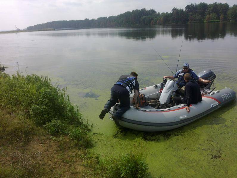 post-2413-0-06593400-1374932496_thumb.jp