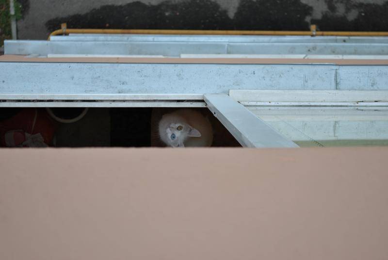 post-8969-0-20453500-1374169832_thumb.jp