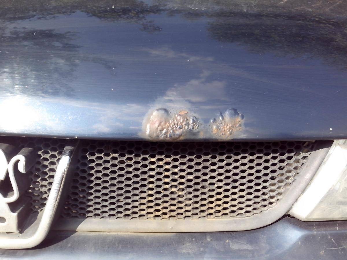 post-3551-0-93181000-1406299563_thumb.jp