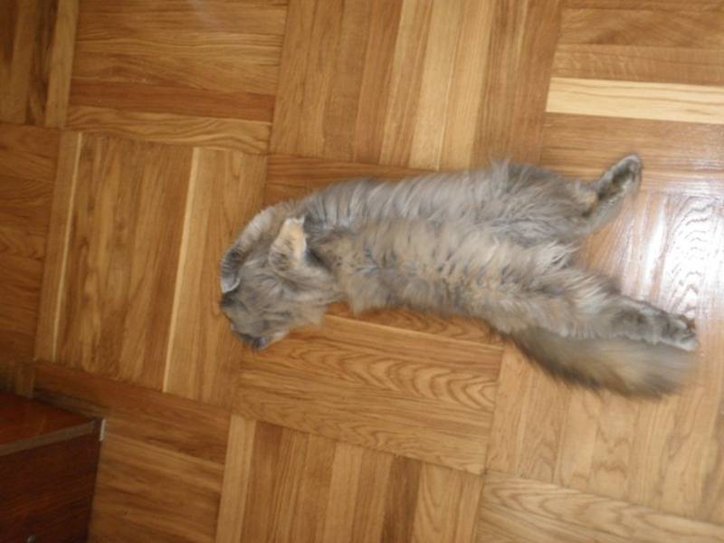 post-10441-0-91995400-1314388234_thumb.j