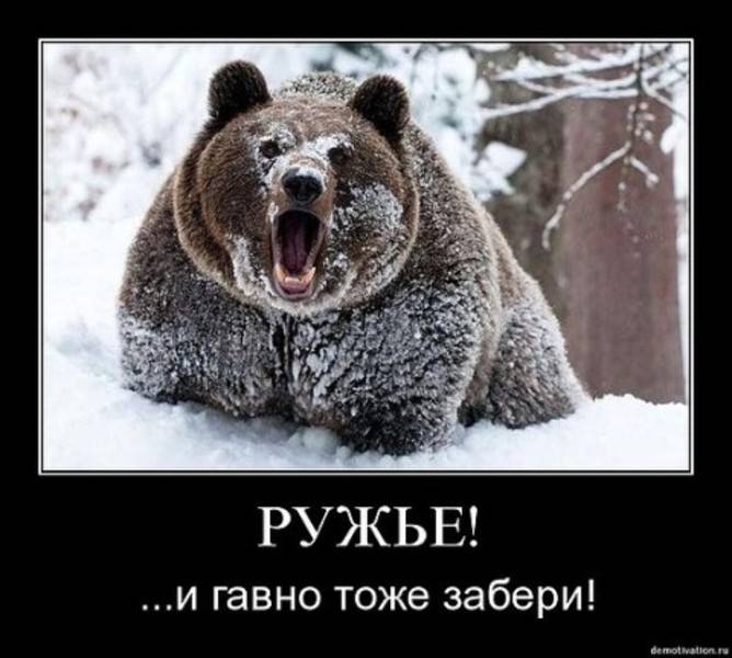 post-2261-0-13242200-1312786449_thumb.jp