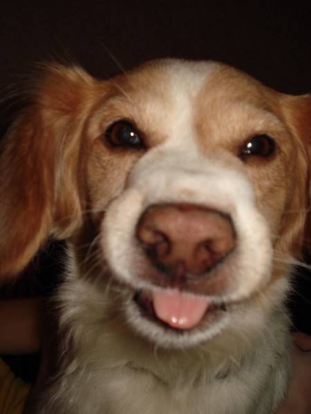 post-7826-0-78537900-1313473865_thumb.jp