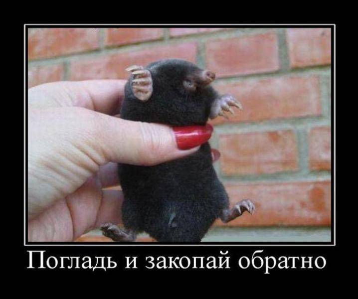 post-8969-0-06592400-1314723174_thumb.jp