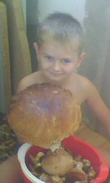 post-16053-0-91332800-1345672904_thumb.j