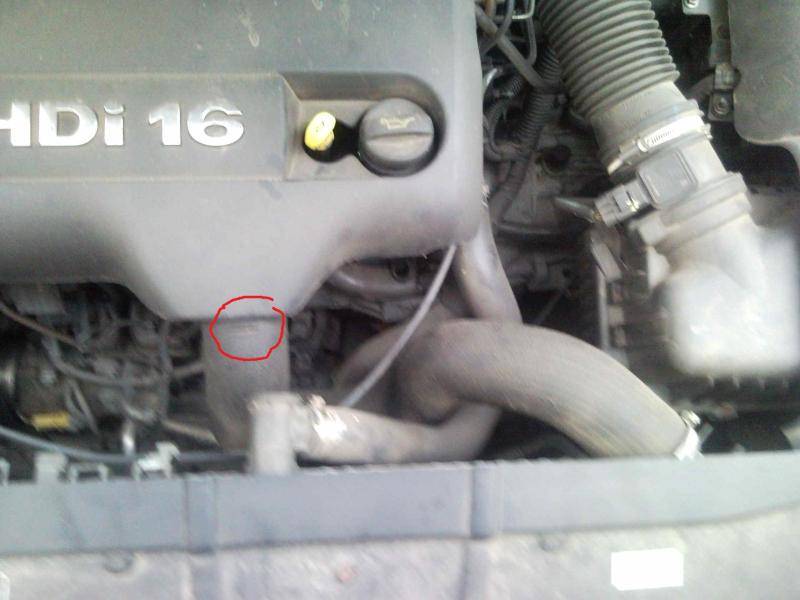 post-14606-0-24151000-1376522005_thumb.j