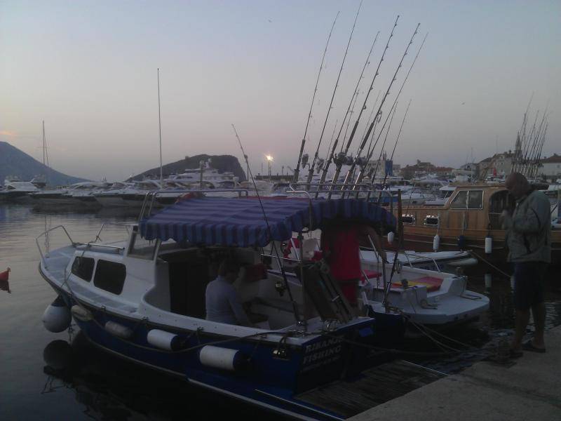 post-3216-0-17837600-1377634052_thumb.jp