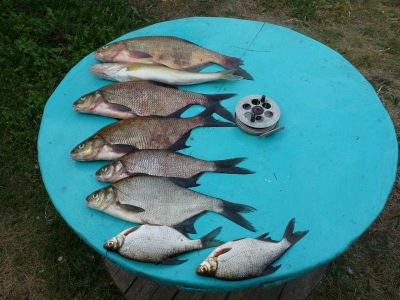 post-3450-0-57314200-1377270510_thumb.jp