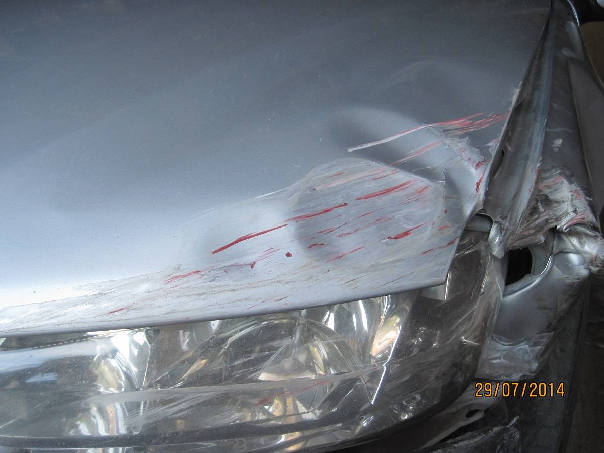 post-6481-0-91683500-1407352254_thumb.jp