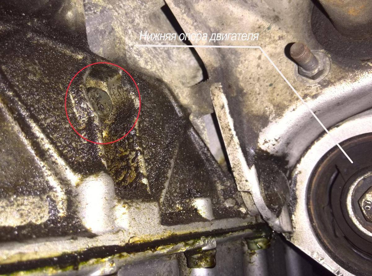 post-14273-0-37831700-1472192282_thumb.j