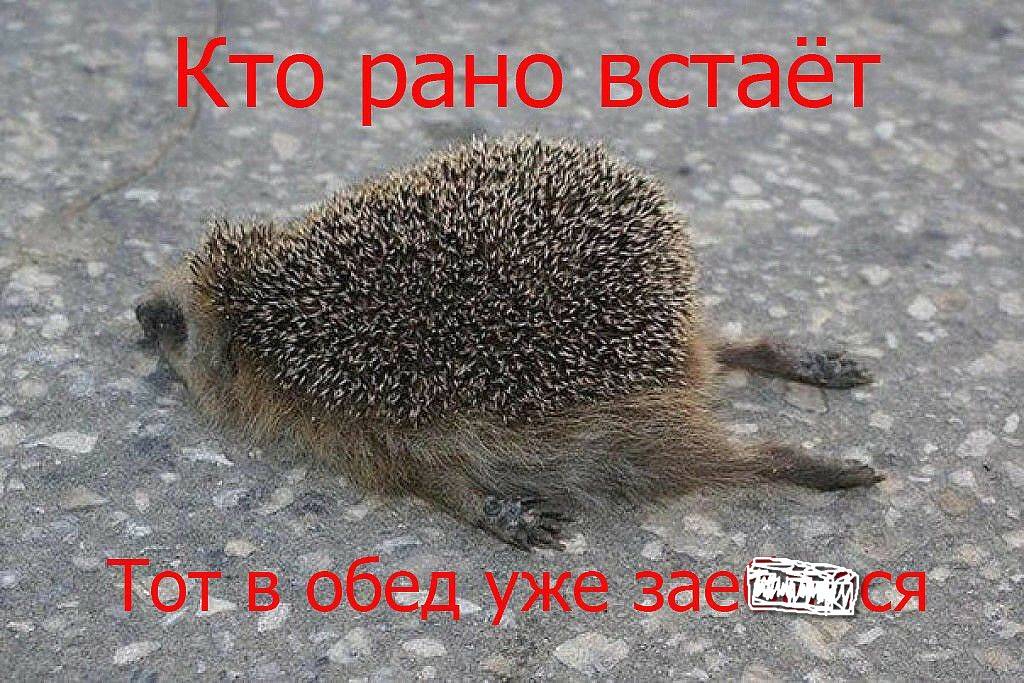 post-17499-0-17787100-1470474075_thumb.j