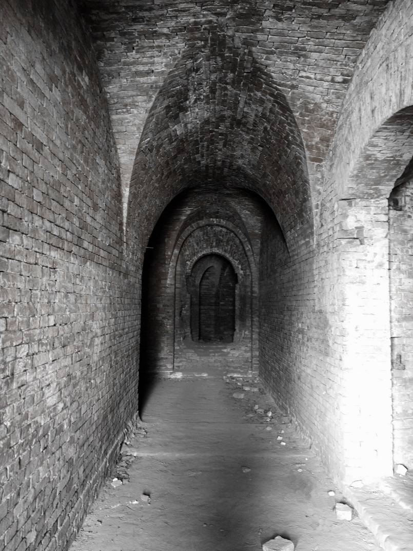 post-23448-0-65552100-1470683833_thumb.j