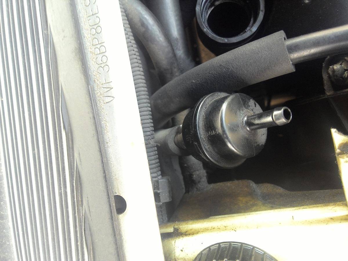 post-42709-0-40838700-1471370925_thumb.j