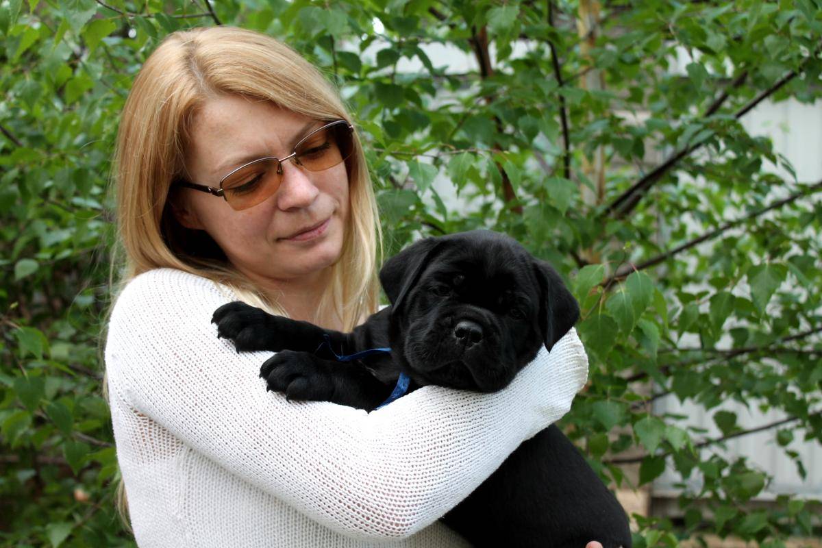 post-43367-0-54897200-1471156087_thumb.j