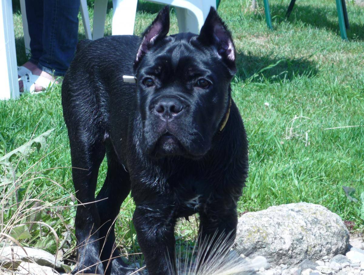 post-43367-0-93410700-1471156183_thumb.j