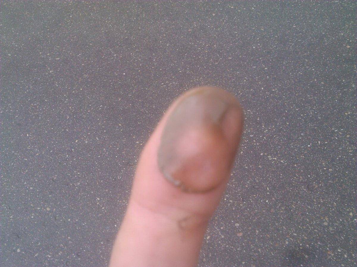 post-46079-0-76357200-1471453319_thumb.j