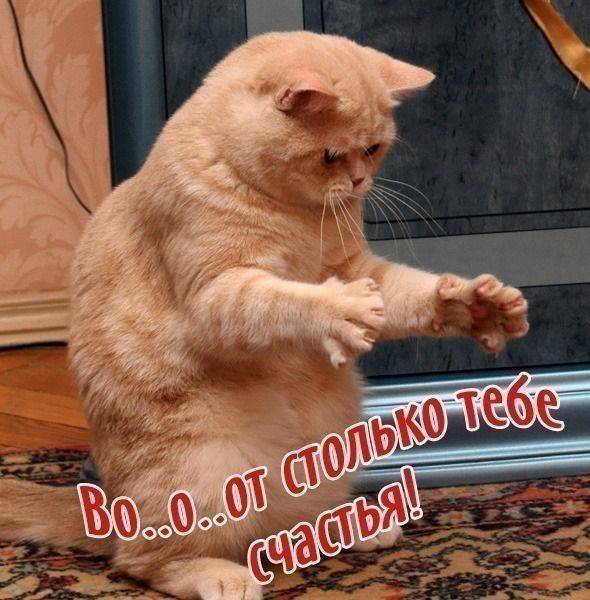 post-11711-0-27550700-1316193946_thumb.j