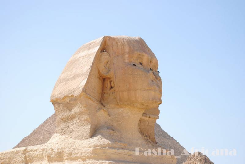 post-1239-0-12141400-1347402729_thumb.jp