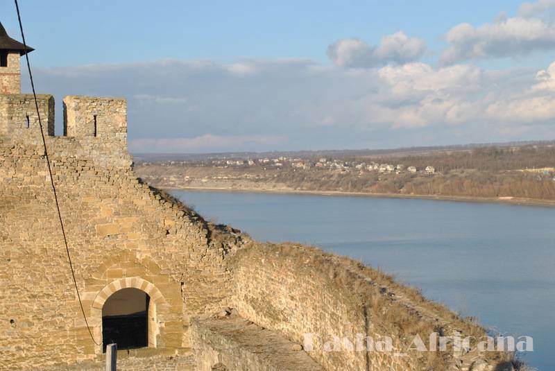 post-1239-0-14790500-1347403737_thumb.jp