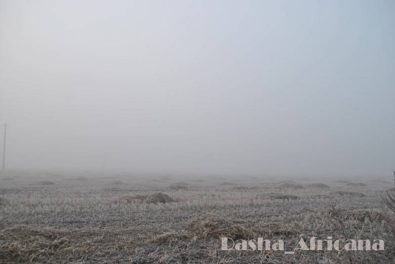 post-1239-0-34041200-1347403715_thumb.jp