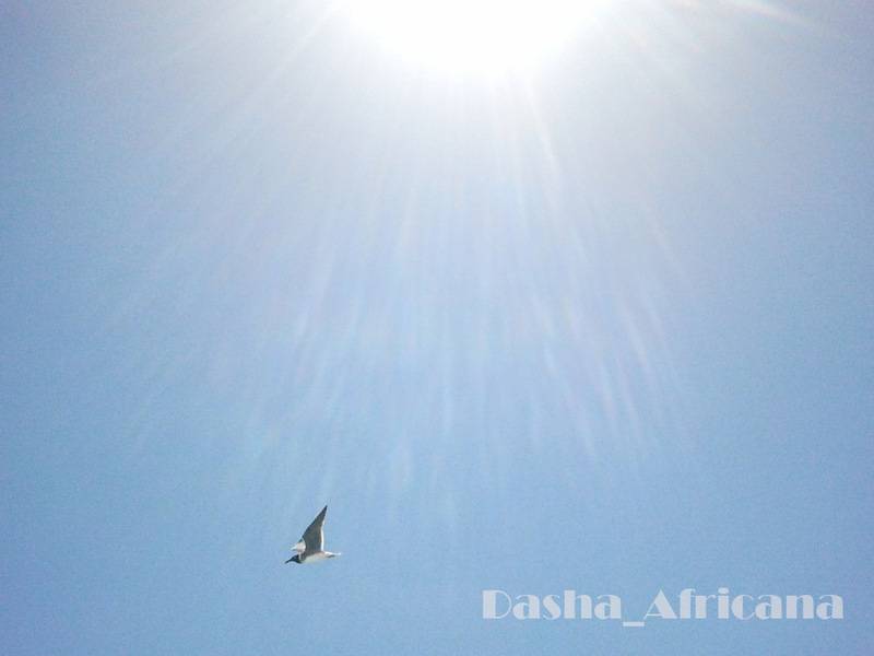 post-1239-0-52255800-1347402677_thumb.jp