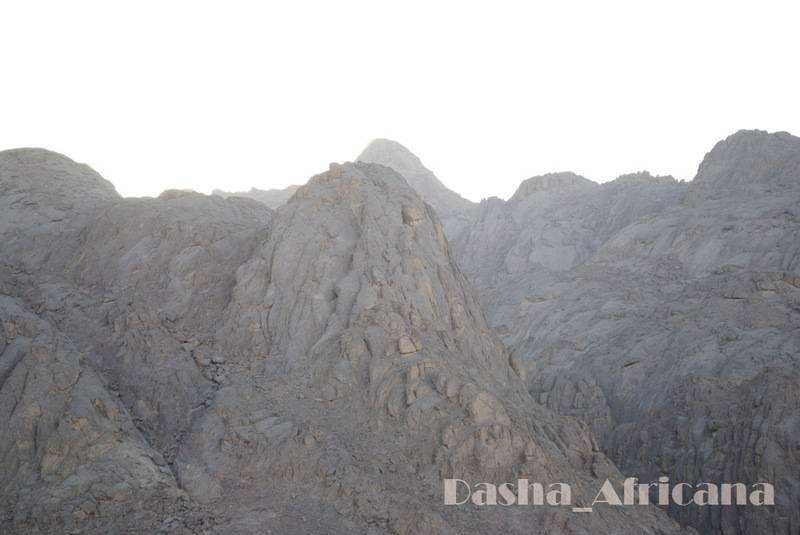 post-1239-0-72248800-1347402692_thumb.jp