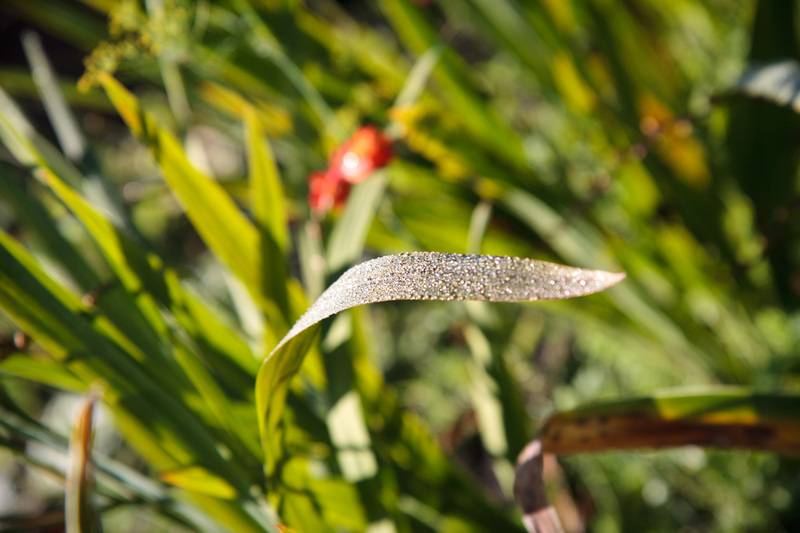 post-4684-0-20543700-1348738319_thumb.jp